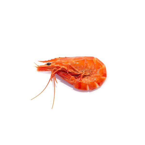 Vannamei Prawn | Udang Vannamei | 灰虾 41/50 (Cooked | Masak | 煮熟的) (M)