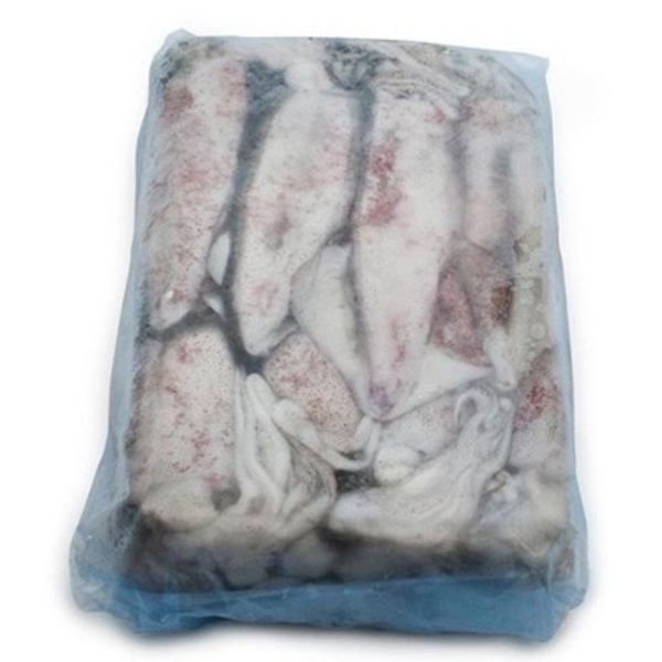 Frozen Squid Whole | Sotong Beku | 冷冻全鱿鱼 3/6