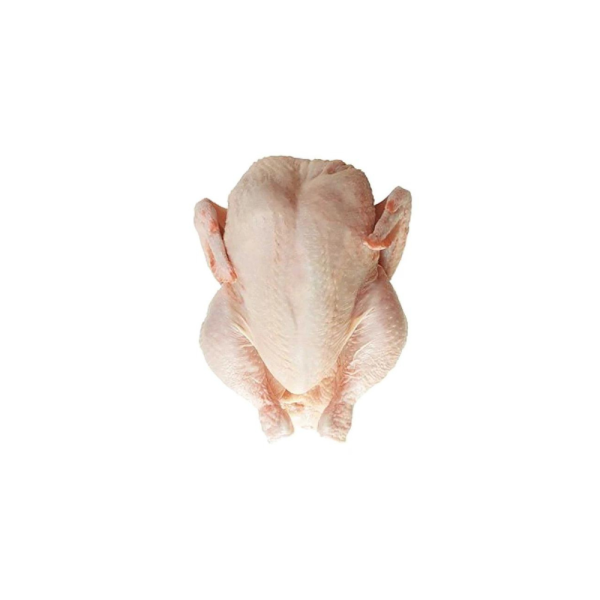 Spring Chicken