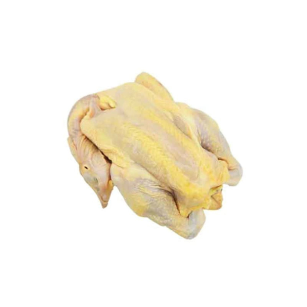 Whole Kampung Chicken 1.50kg - 1.80kg