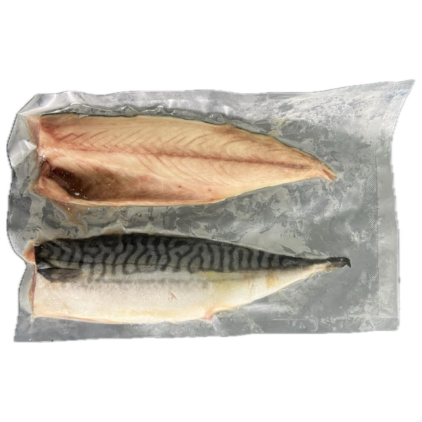 Norwegian Saba Mackerel | Ikan Saba | 鲭鱼 (Fillet | 厚片)