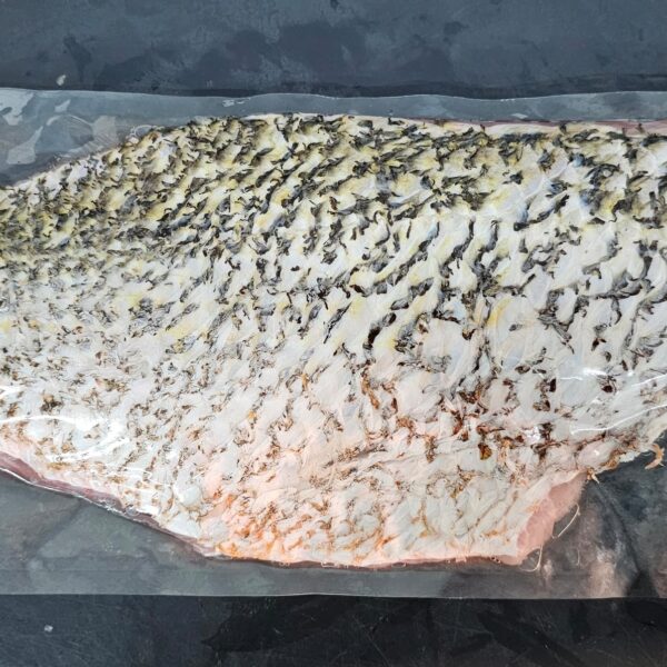Golden Snapper | Jenahak | 红皂 2kg up | 2公斤以上 (Half-Fillet | Setengah-Filet | 半鱼厚片)